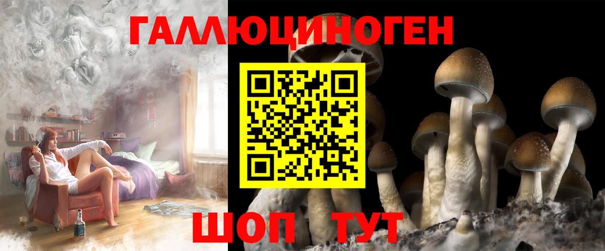 Псилоцибиновые грибы GOLDEN TEACHER  Вход с VPN  Галлюциногенные грибы ЛСД  Киров 
